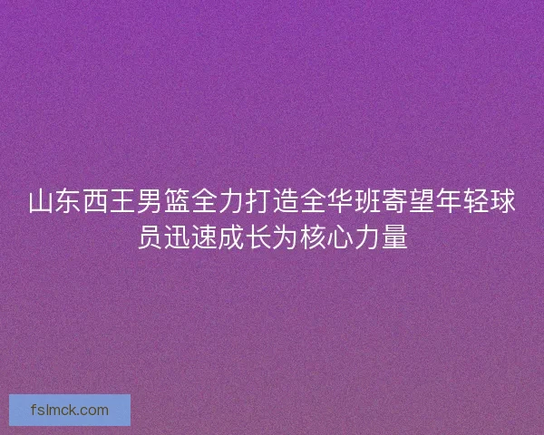 山东西王男篮全力打造全华班寄望年轻球员迅速成长为核心力量